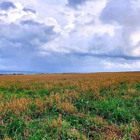 La Mora * Pola
